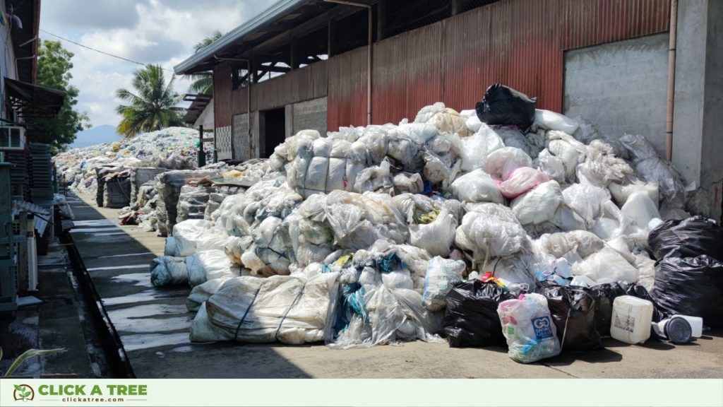 Click A Tree's reforestation project in the Philippines supports the removal of plastic from the ocean.