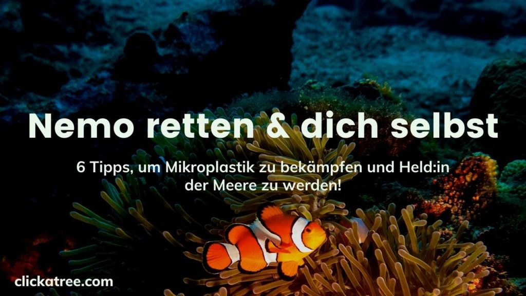 Nemo retten - 6 Tipps, um Mikroplastik zu bekämpfen und Held:in der Meere zu werden