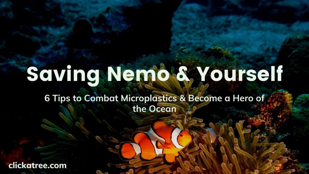 Saving Nemo and Yourself: How to combat microplastics and become a hero of the ocean