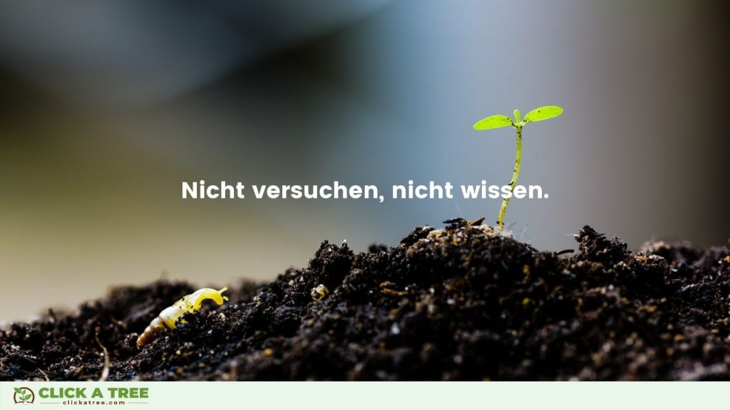 Nicht versuchen nicht wissen. Erfolg Zitate von Click A Tree Gründer Chris Kaiser