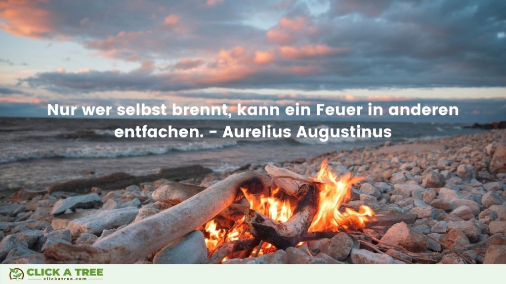 Nur wer selbst brennt kann ein Feuer in anderen entfachen. Aurelius Augustinus Erfolg Zitate. Click A Tree