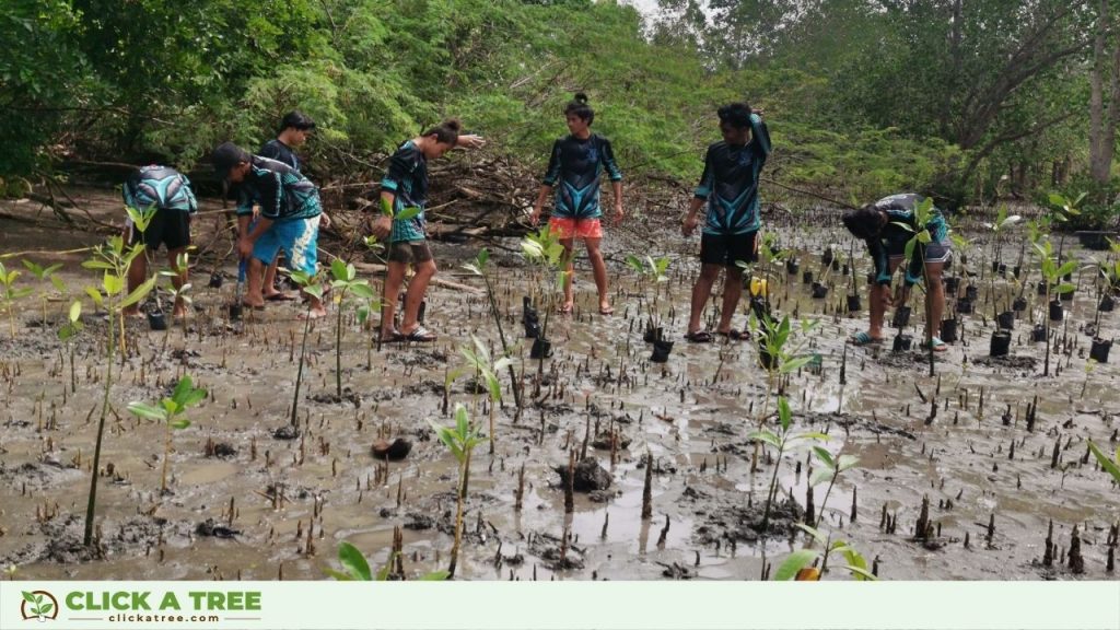 Click A Tree's Team in den Philippinen