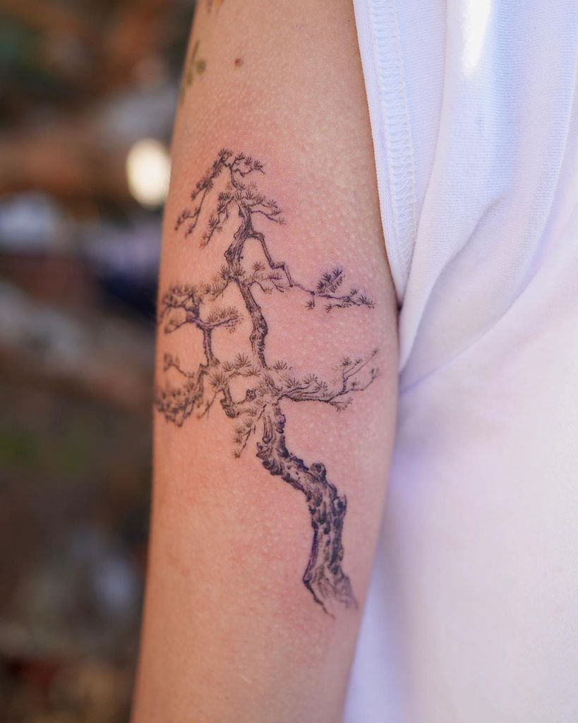 Pine Tree Tattoo by Ragyeom representing the strong spirit that is not swayed by the wind w Click A Tree