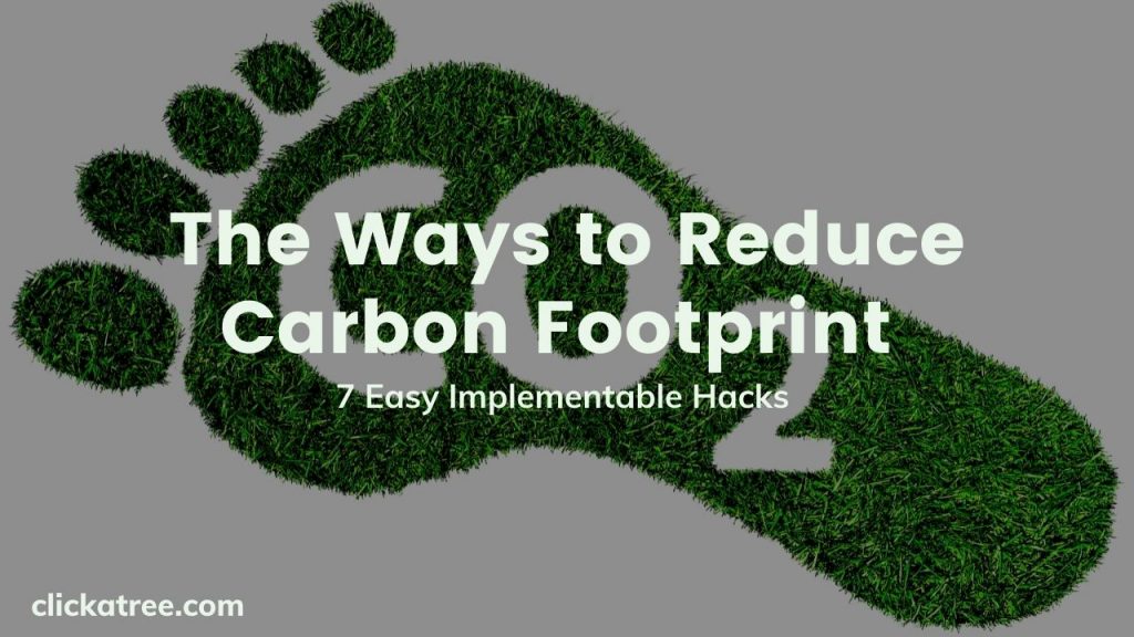 The Ways to Reduce Carbon Footprint by Click A Tree 