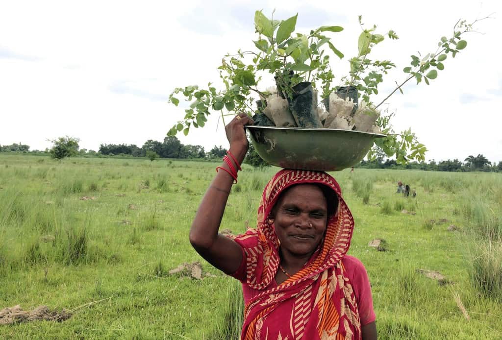 Planting Trees & Nepal Nurseries - Meet Shushila & Kanchi. Shushila enjoys her work in the tree planting nursery and the benefits of fair work