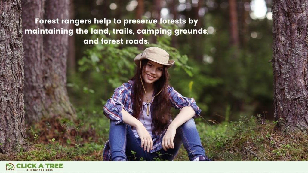 Forest rangers help to preserve forests by maintaining the land, trails, camping grounds, and forest roads.