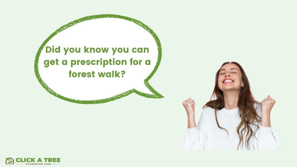 Did you know you can get a prescription for a forest walk?