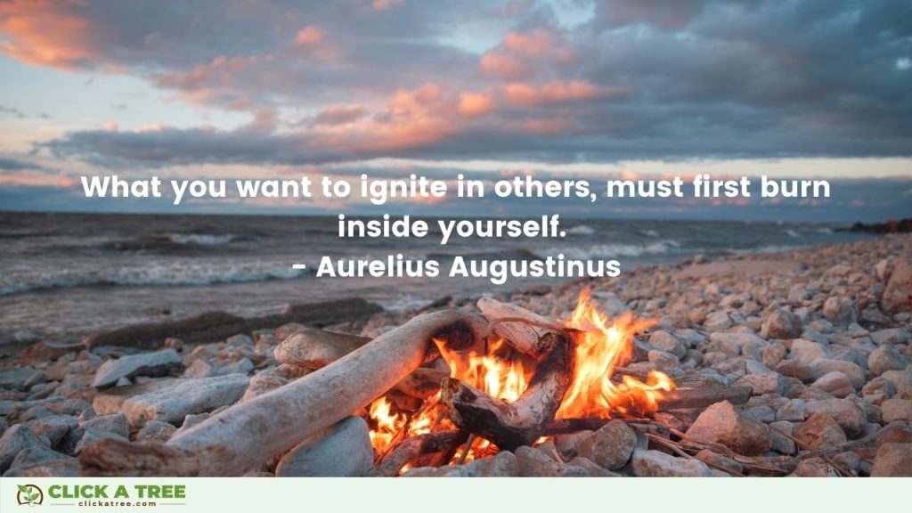 What you want to ignite in others must first burn inside yourself. Aurelius Augustinus Quote
