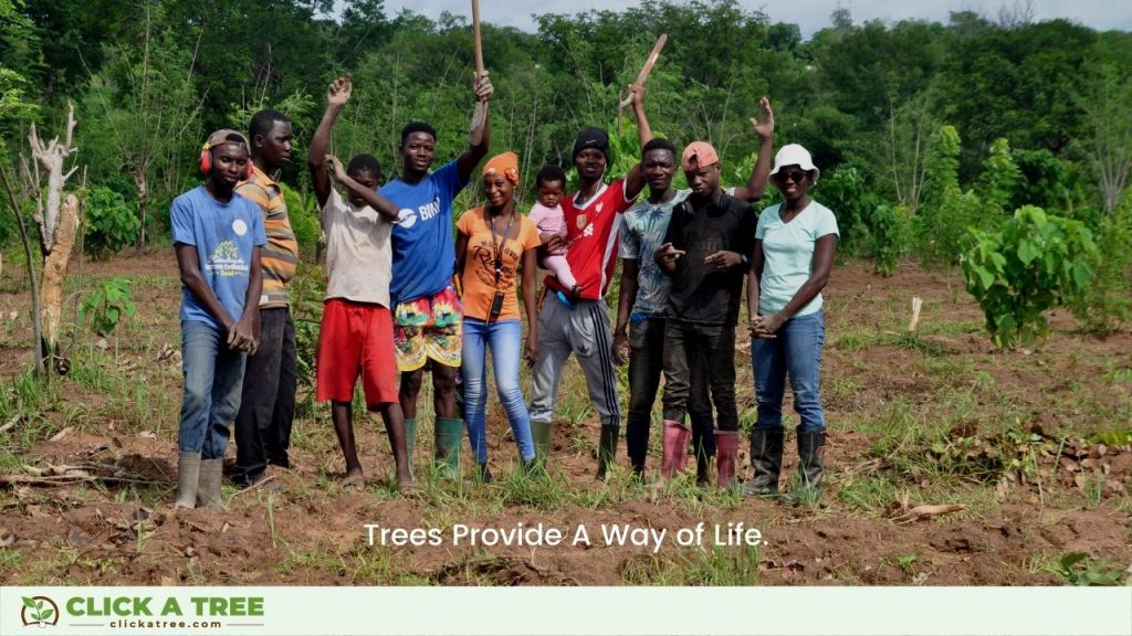 Trees Provide More Than a Livelihood - A Way of Life