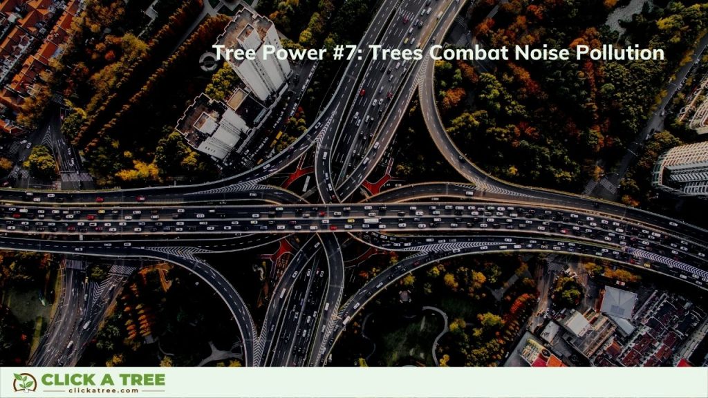Tree Power 7 - Trees Combat Noise Pollution 