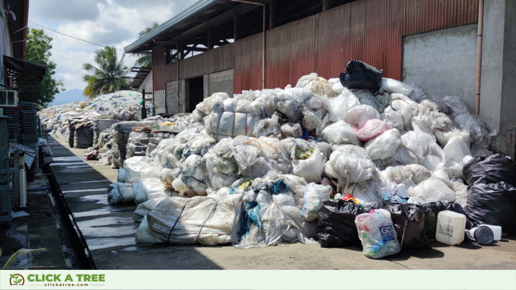 Mit Click A Tree's Plastikprojekt entfernen wir 1kg Plastik aus dem Ozean pro gepflanztem Mangrovenbaum.