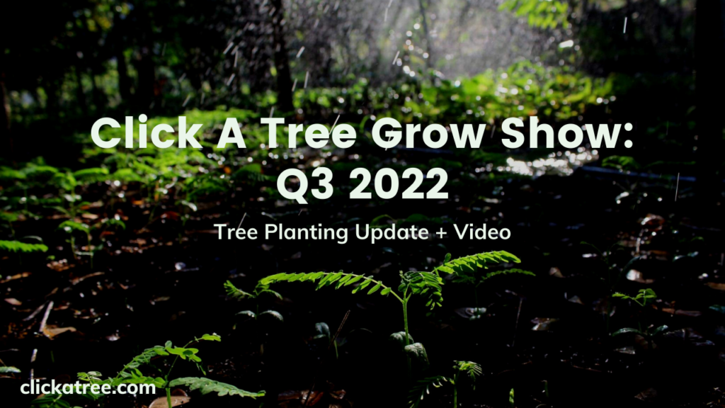 Click A Tree Grow Show: Q3 2022 Tree planting Update + Video